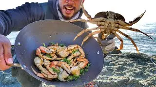 SNARING BIG CRAB On The Rocks, DOUBLE FRIED in GARLIC CHILI on a CLIFF!! (Catch Clean Cook)