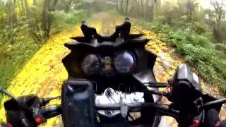 ТЕБЕ НЕ НУЖЕН SUZUKI DL 650 V-STROM