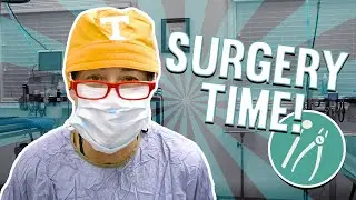 GASTROPEXY SURGERY! | Episode 12 | Day in the Life