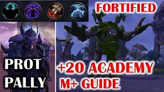 WOW DRAGONFLIGHT FORTIFIED +20 ALGETHAR ACADEMY (AA) THIS WEEK MYTHIC PLUS GUIDE TANK POV