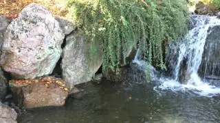 Chicago Botanical Garden 4K