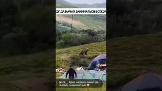 K… …M