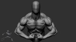 Anatomy Study In ZBRUSH - Torso Flex - TIMELAPSE