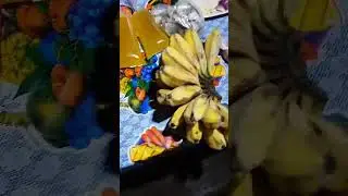Flex ko lang ang aking bakasyon noong 2018 sa tahanan ng aking magulang sa probensya