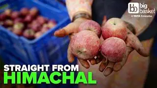 Why Are Shimla Apples So Juicy? | From the Hills to Your Home #BehindTheTaste