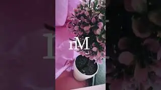 Молитва за Україну   