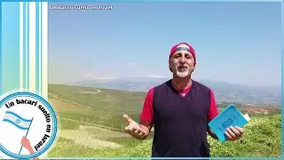 La Rebelion contra el Rey David