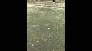 Spin It Back Green side with Low Spin Shot