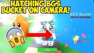 Hatching BGS Bucket and legendaries | Bubble Gum Simulator