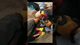 Seal Pup Rescued from Mysterious Net #shorts