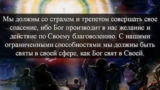 218 Совершенство в человеческой сфере