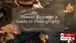 Ultimate Beginner's Guide to Photography: Master the Basics