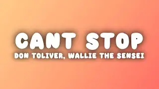 Don Toliver, Wallie The Sensei - CANT STOP (Lyrics)