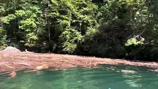 Debris Field Lake Jocassee after Helene