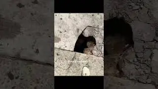 неожиданно
