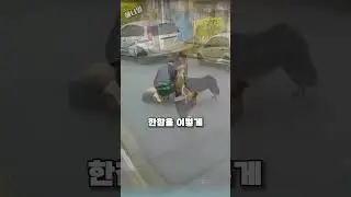 달려드는 개로부터 반려견을 지킨 사람