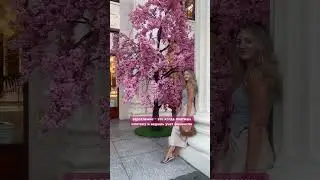 влог о плюсах и минусах жизни в Сочи на канале 🌴 #сочи #сочисегодня #сочи2024 #жизньнаморе