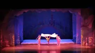 Ice. Circus. Ballet - Nutcracker