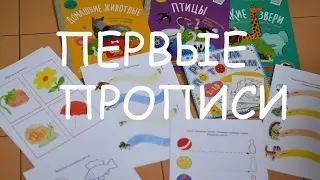 Готовим руку к письму /Первые прописи