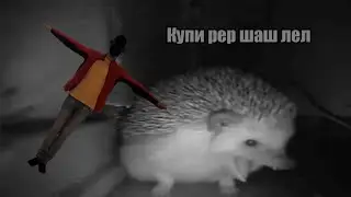 Ёжик чихнул