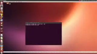 How to install Unity3D 4 on Linux