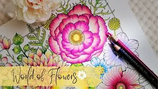 How To Color A Flower With Colored Pencils | World of Flowers by Johanna Basford