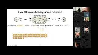 Kevin Yang : Protein Sequence Generation with evolutionary diffusion