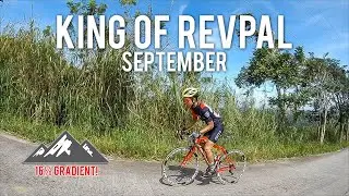 King Of Revpal | September