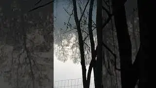 Утро на озере