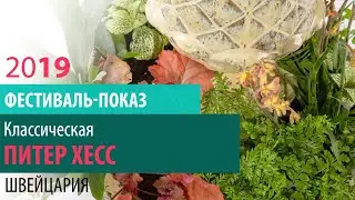 Растения в кашпо. Декоративная цветочная композиция в кашпо