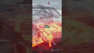 use of /bin directory in Linux 