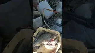 рыбалка на реке водла