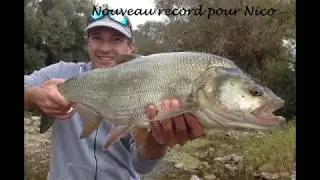 Enorme aspe de 6 kgs capturé à deux pêcheurs