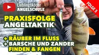 Angeltaktik: erfolgreich auf Barsche und Zander angeln (Staffel 1, Folge 5)