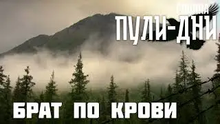 Группа Пули Дни   Брат по крови