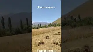 Алаф Дарав Нимич