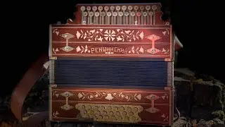 Ой то не вечер! С гармонью по жизни!