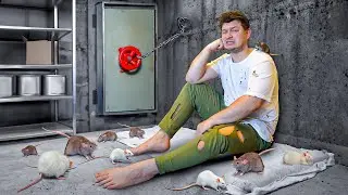 Bref, 100 JOURS Dans Un Bunker