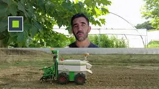 Gagner du temps en maraîchage grâce au robot OZ