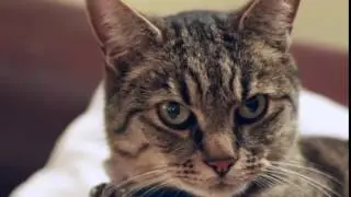 Titch - You Looking At Me