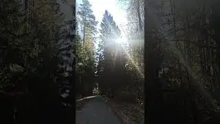 Два Дениса на суперлуние и Плеяды и удивительное пересечение календарей