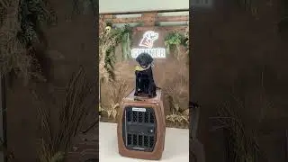 Visit the GUNNER Showroom