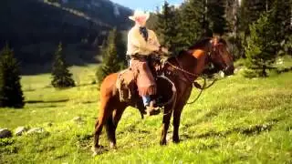 EXPEDIA COWBOY HORSE FRIDAY NIGHT