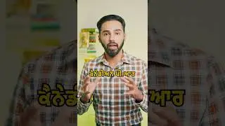 Get Canadian PR #jassidhandian #tsimmigration #canadapr #immigration
