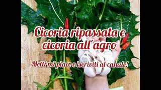 Cicoria ripassata e cicoria all'agro
