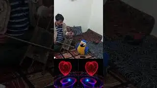 ٢٦ مايو ٢٠٢٤