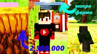 Купил тыкву ЗА 2500000 монет в микро ферме на  сервере cristalix!!!