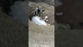 Türkiye’de bir örneği yok!  