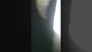 Mein Bunker in meinem Garten... mehr Videos findet ihr bei TIKTOK und Instagram 🥰 @JOHNSONVSSALLY