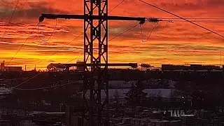 ПОМОГАЮ ЖИВОТНЫМ НА ПИКНИКЕ//SAFIA_MILLK♡